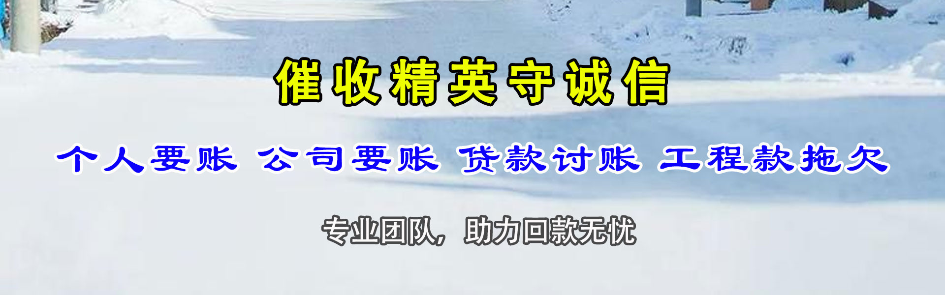 谢家集清债公司